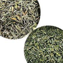 White and Green Tea White and Green Tea