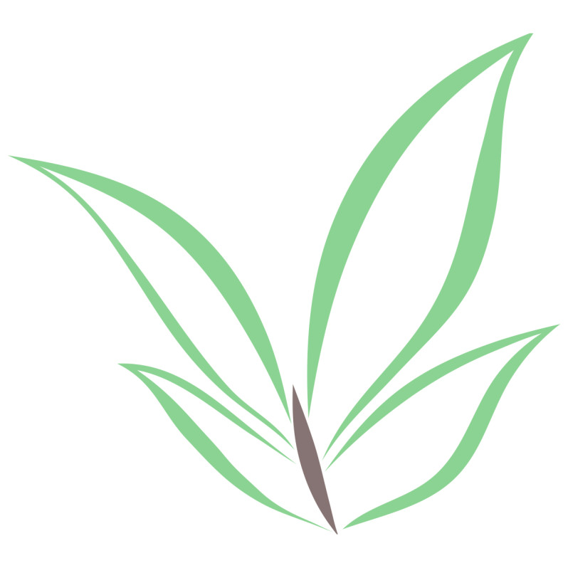 Rare Organic Dayuling Oolong from Plantation 101K (101K大禹嶺烏龍) Main Image