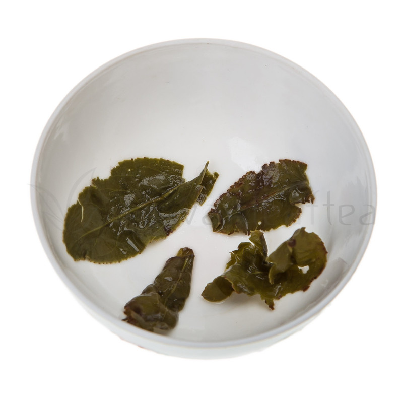 Alpine Mountain Yu Shan Garden Oolong (玉山茶園高冷烏龍茶) Image 3