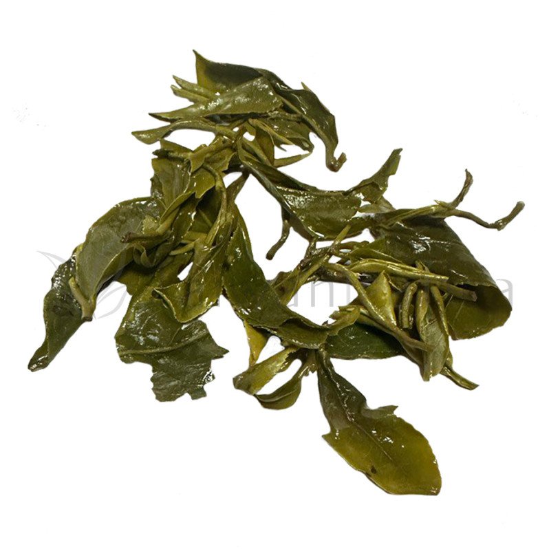 Biluochun Organic Green Tea from Sanxia District (碧螺春) Biluochun Organic Green Tea from Sanxia District (碧螺春) Image 1