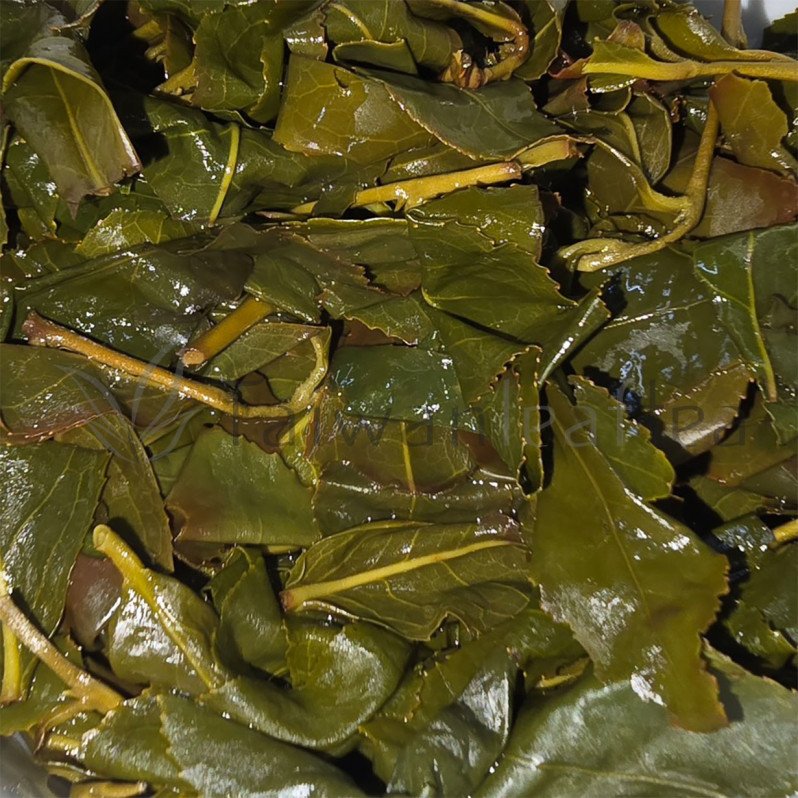 Long Feng Xia Cao-Nao-Zai (Wangyou Forest) High Mountain Oolong (龍鳳峽草坔仔(忘憂森林)高山烏龍茶) Image 4