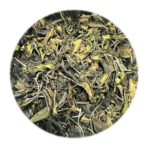 Зелёный чай Лунцзин из Санься (Longjing Green Tea from Sanxia District) Зелёный чай Лунцзин из Санься (Longjing Green Tea from Sanxia District)