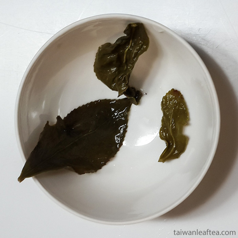Premium GABA Oolong / Cui Yu / Tea #13 from Nantou (頂級翠玉) Image 2