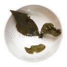 Rare Organic Dayuling Oolong from Plantation 101K (101K大禹嶺烏龍) Image 2