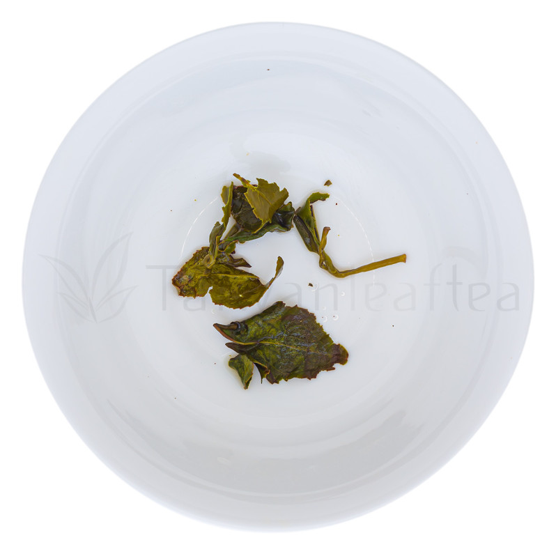 Rare Organic Dayuling Oolong from Plantation 105K (105K大禹嶺烏龍) Image 2