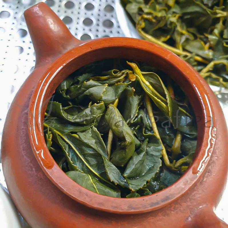 Rare Organic Dayuling Oolong from Plantation 105K (105K大禹嶺烏龍) Image 4