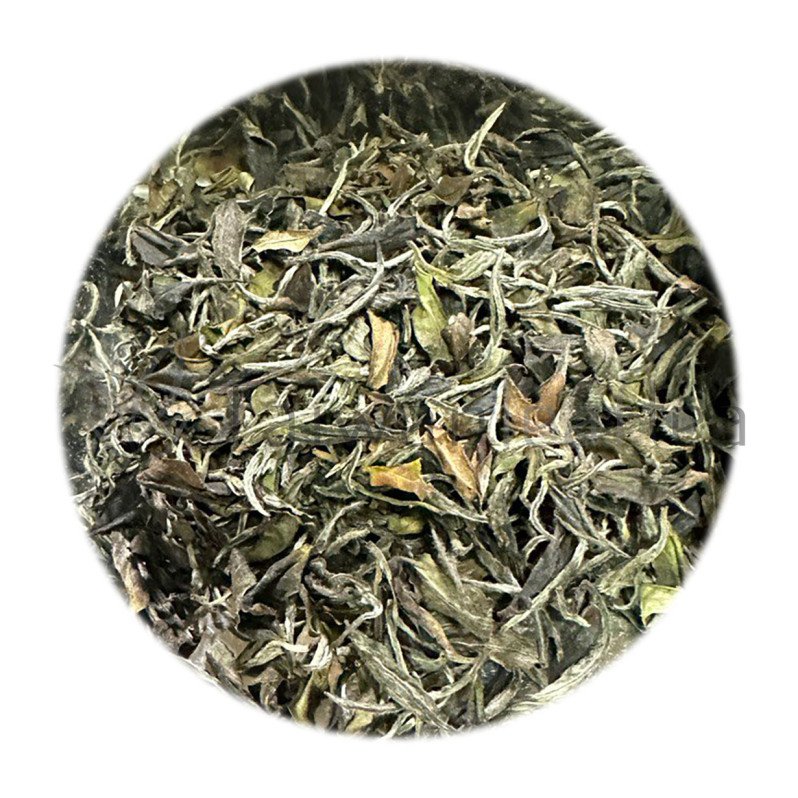 Sanxia Organic White Tea (三峽白茶) Sanxia Organic White Tea (三峽白茶) Image 1