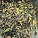 Sanxia Organic White Tea (三峽白茶) Image 2