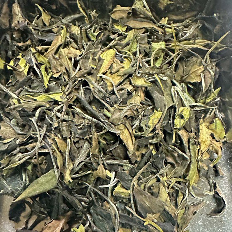 Sanxia Organic White Tea (三峽白茶) Sanxia Organic White Tea (三峽白茶) Image 2