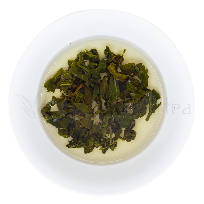 Spring Alpine Oolong from Dayuling Plantation 88K (大禹嶺春茶) Image 2