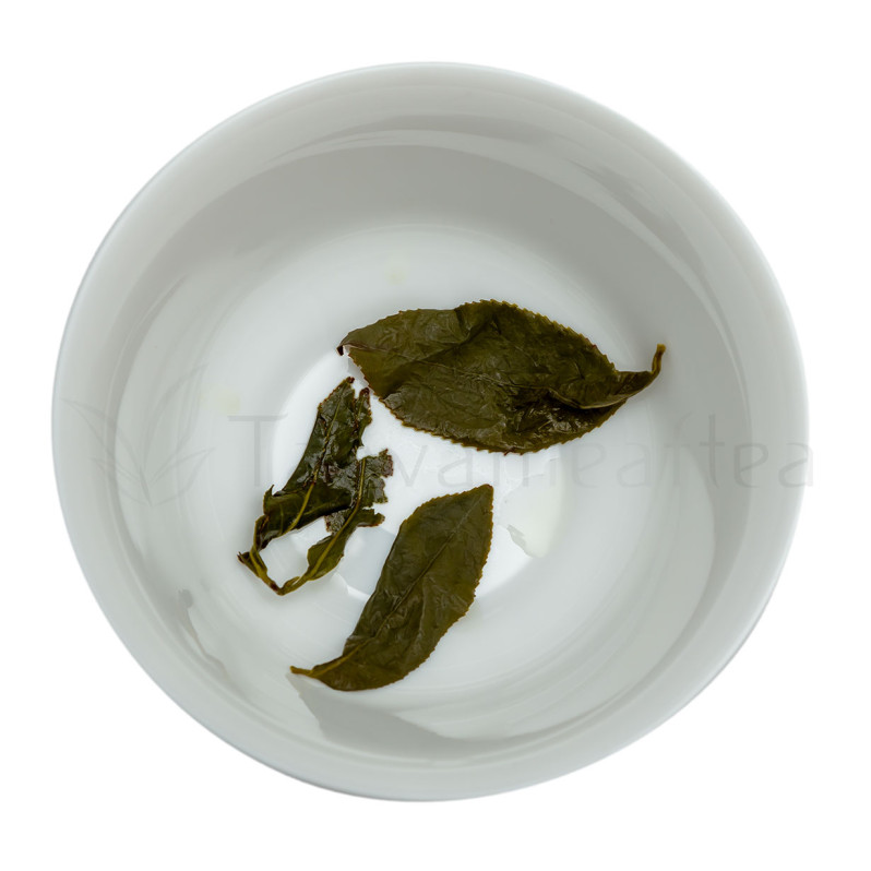 Sun Link Sea / Shanlinxi Apline Medium Backed Oolong (山林西高山乌龙 ) Image 3