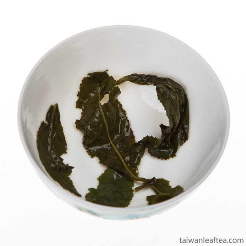 Four Season Spring Oolong / Si Ji Chun Tea Yunlin (四季春) Image 2